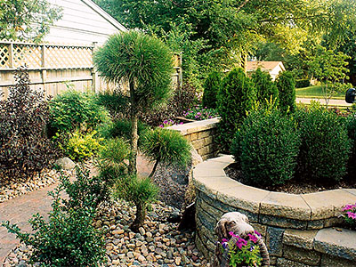 Landscape Services Ballwin, MO