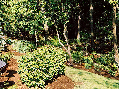 Landscaping Ballwin, MO