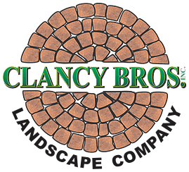 Clancy Brothers